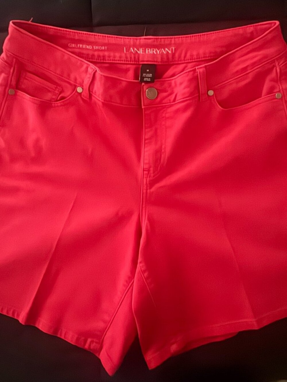 Lane Bryant Shorts